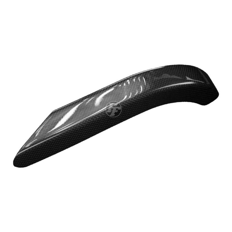 Paracatena posteriore F&F Carbon, carbonio/fibra di vetro – Ducati Monster S2R 1000, S4R ecc.
