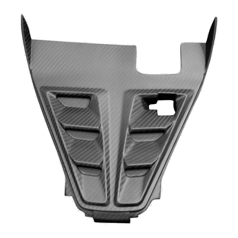 F&F Carbon Kühlerverkleidung, 100 % Carbon – Aprilia RS 457 ab 2024