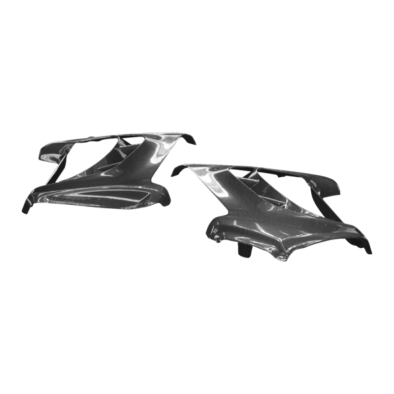F&F Carbon Kühlerverkleidung, 100 % Carbon – Ducati Diavel 2010–2013
