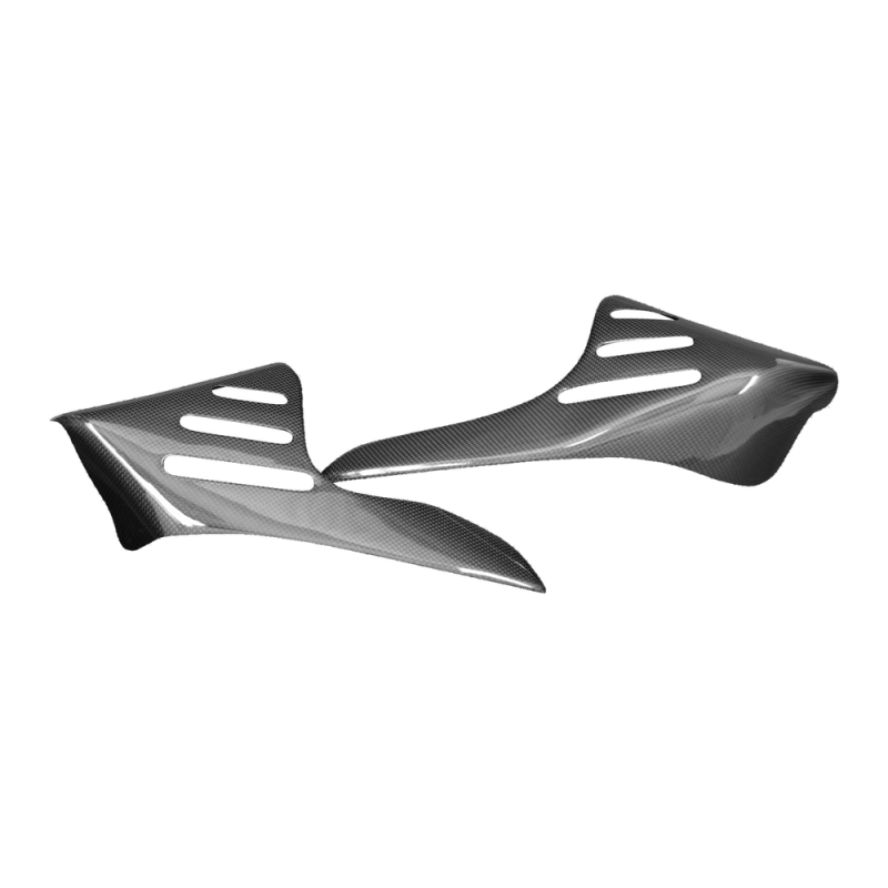 Copriradiatore F&F Carbon, carbonio/fibra di vetro – Ducati Monster S4R