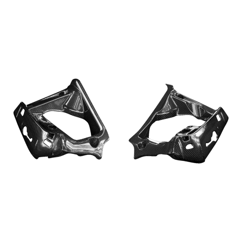 F&F Carbon Kühlerverkleidung-Halter, 100 % Carbon – Ducati Monster 1200, Monster 1200S u. a.