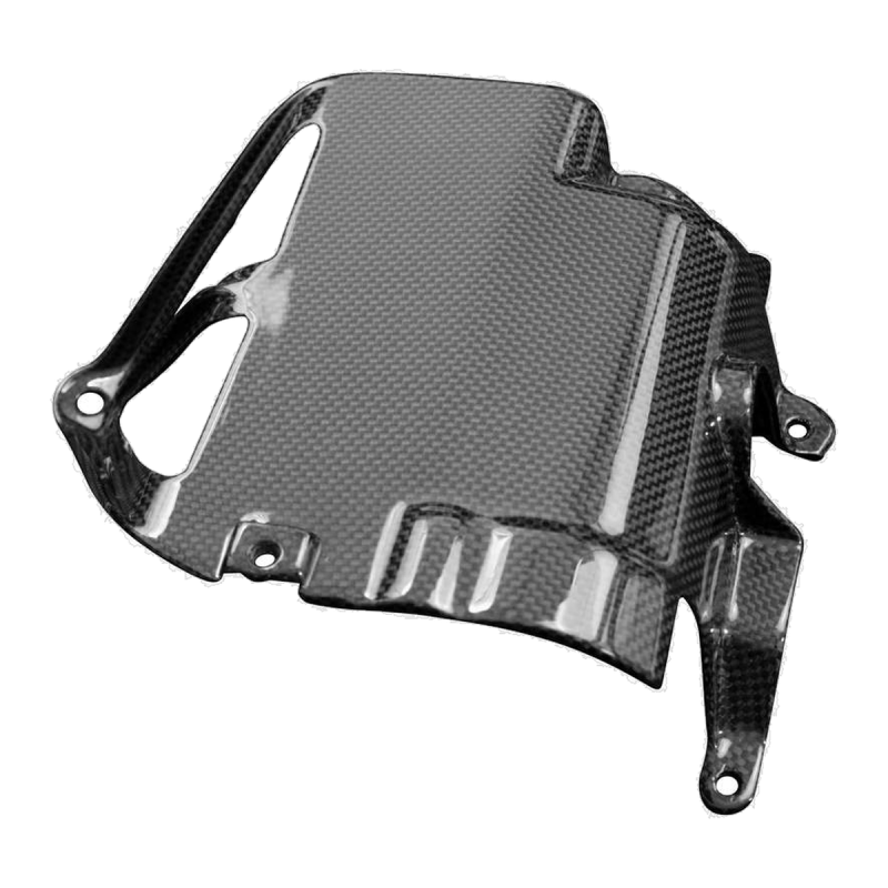 F&F Carbon Kühlerverkleidung-Halter, 100 % Carbon – Ducati XDiavel V4 ab 2025