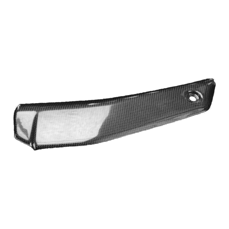 F&F Carbon Radiator cover (lower part), 100 % carbon – Ducati Streetfighter V4 from 2020