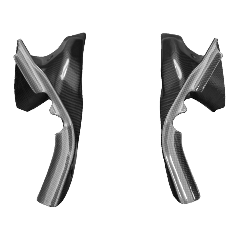F&F Carbon Lufteinlass-Verkleidung, 100 % Carbon – Ducati 1098, 1198 u. a.