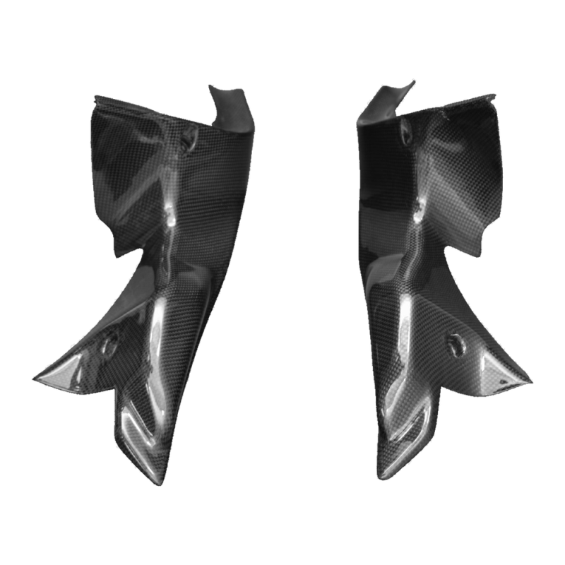 F&F Carbon Lufteinlass-Verkleidung, 100 % Carbon – Ducati 1098, 1198 u. a.