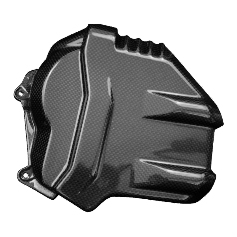 F&F Carbon Motorabdeckung (Cover), Carbon/Glasfaser – Ducati Panigale V4/V4S