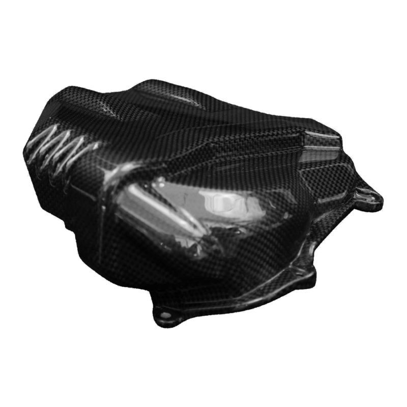 F&F Carbon Motorabdeckung (Cover), Carbon/Glasfaser – Ducati Panigale V4/V4S