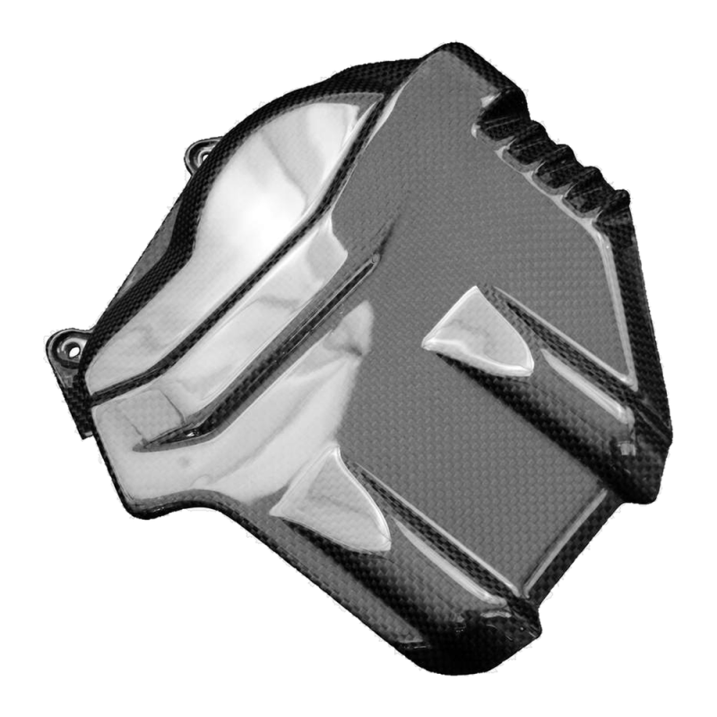 F&F Carbon Motorabdeckung (Cover), Carbon/Glasfaser – Ducati Panigale V4/V4S