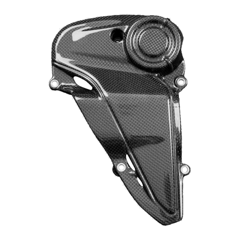 F&F Carbon Motorabdeckung, Carbon/Glasfaser – Ducati Monster 821 Stealth ab 2019