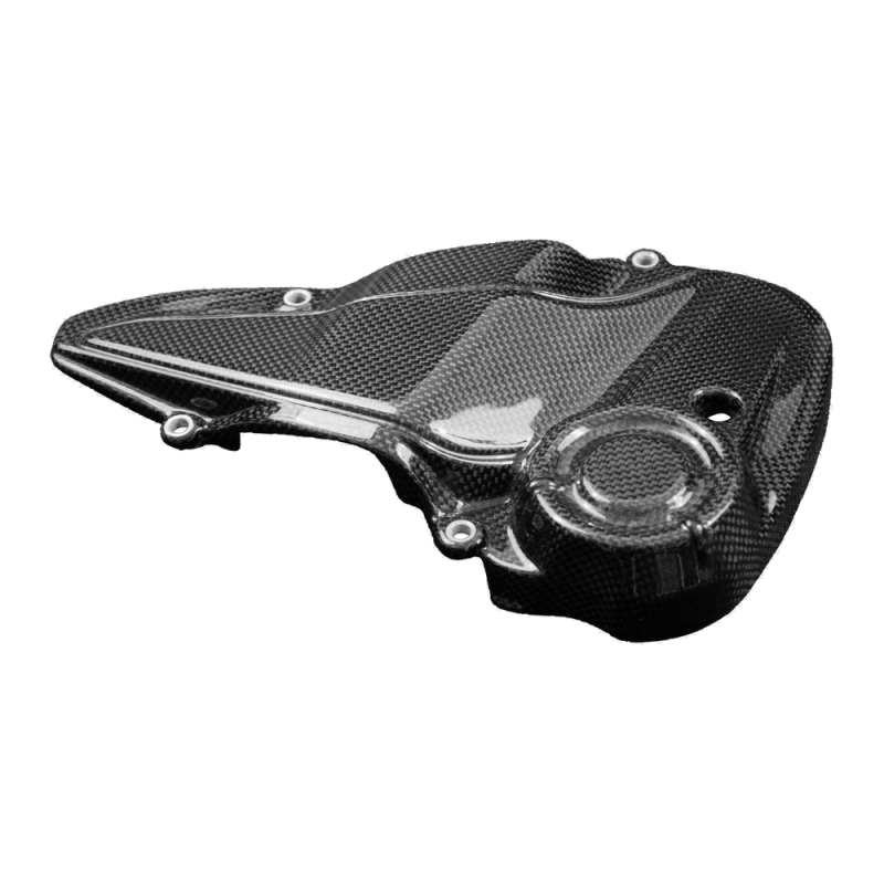 F&F Carbon Motorabdeckung, Carbon/Glasfaser – Ducati Monster 821 Stealth ab 2019
