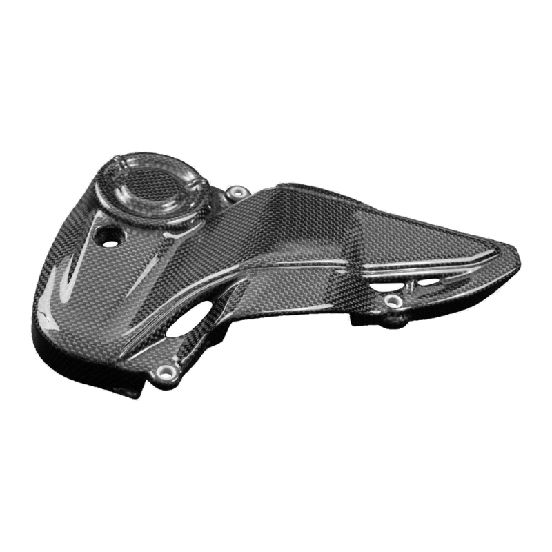F&F Carbon Motorabdeckung, Carbon/Glasfaser – Ducati Monster 821 Stealth ab 2019