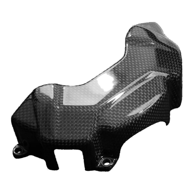 F&F Carbon Motorabdeckung, Carbon/Glasfaser – Ducati Monster 937 ab 2021