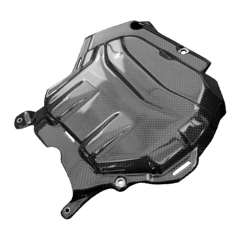 F&F Carbon Motorabdeckung, 100 % Carbon – Ducati Multistrada V4 ab 2021