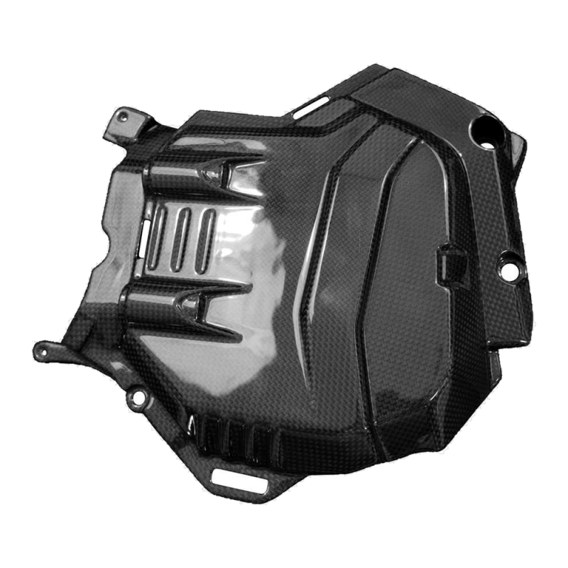 F&F Carbon Motorabdeckung, 100 % Carbon – Ducati Multistrada V4 ab 2021