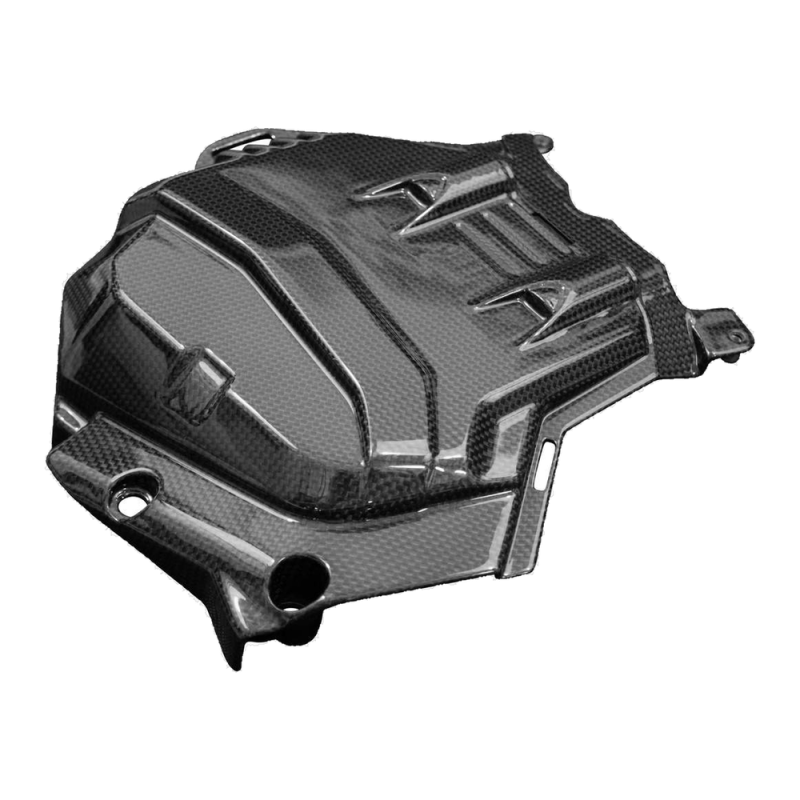 F&F Carbon Motorabdeckung, 100 % Carbon – Ducati Multistrada V4 ab 2021