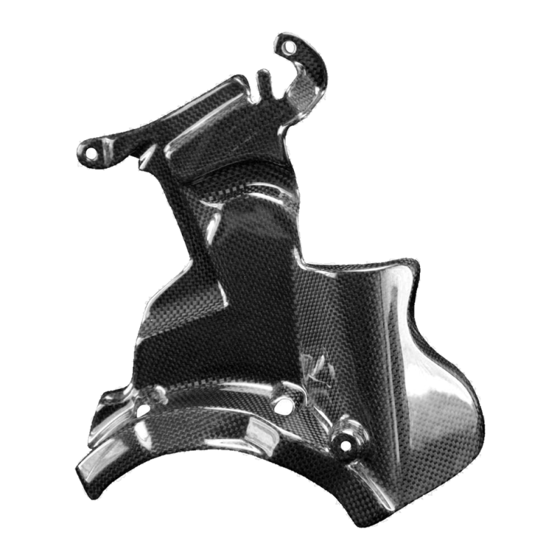 F&F Carbon Engine cover, 100 % carbon – Ducati Panigale V2, Streetfighter V2
