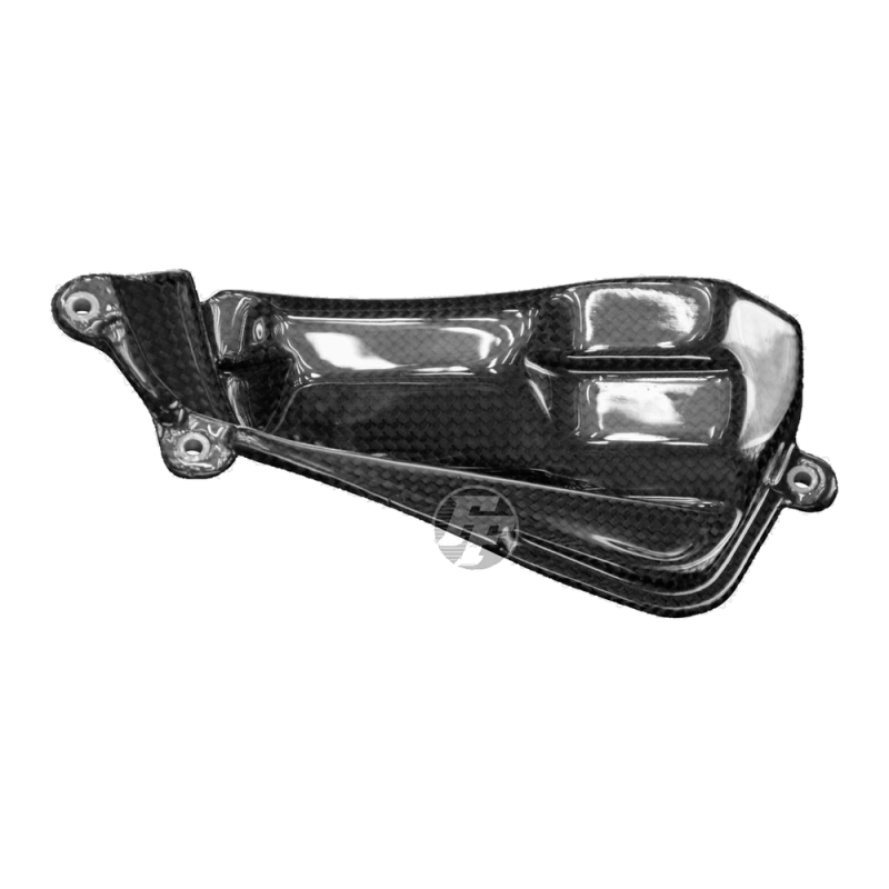 F&F Carbon Motorabdeckung, Carbon/Glasfaser – Ducati Panigale V4, Panigale V4S u. a.