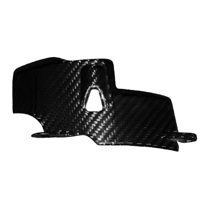 F&F Carbon Engine cover, 100 % carbon – Ducati Panigale V4 from 2025