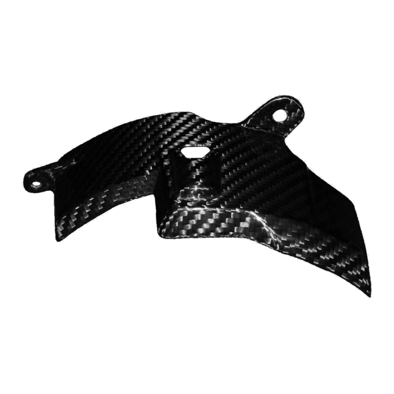 F&F Carbon Engine cover, 100 % carbon – Ducati Panigale V4 from 2025