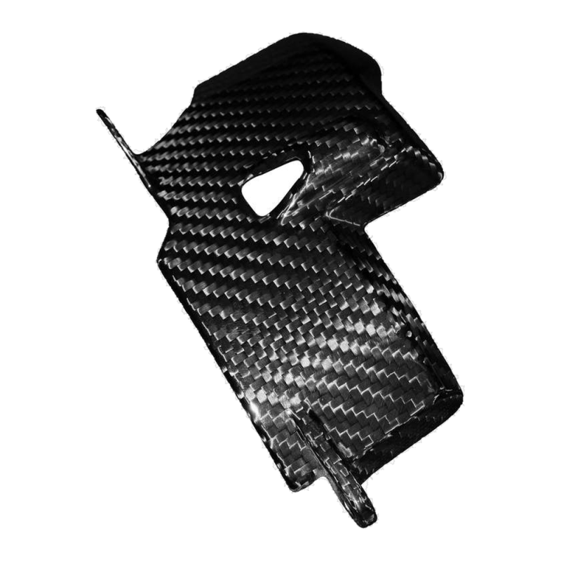 F&F Carbon Engine cover, 100 % carbon – Ducati Panigale V4 from 2025