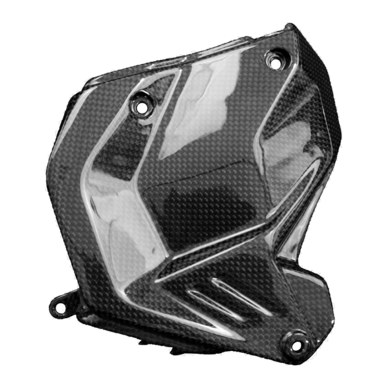 F&F Carbon Motorabdeckung, 100 % Carbon – Ducati Panigale V4/V4S ab 2025