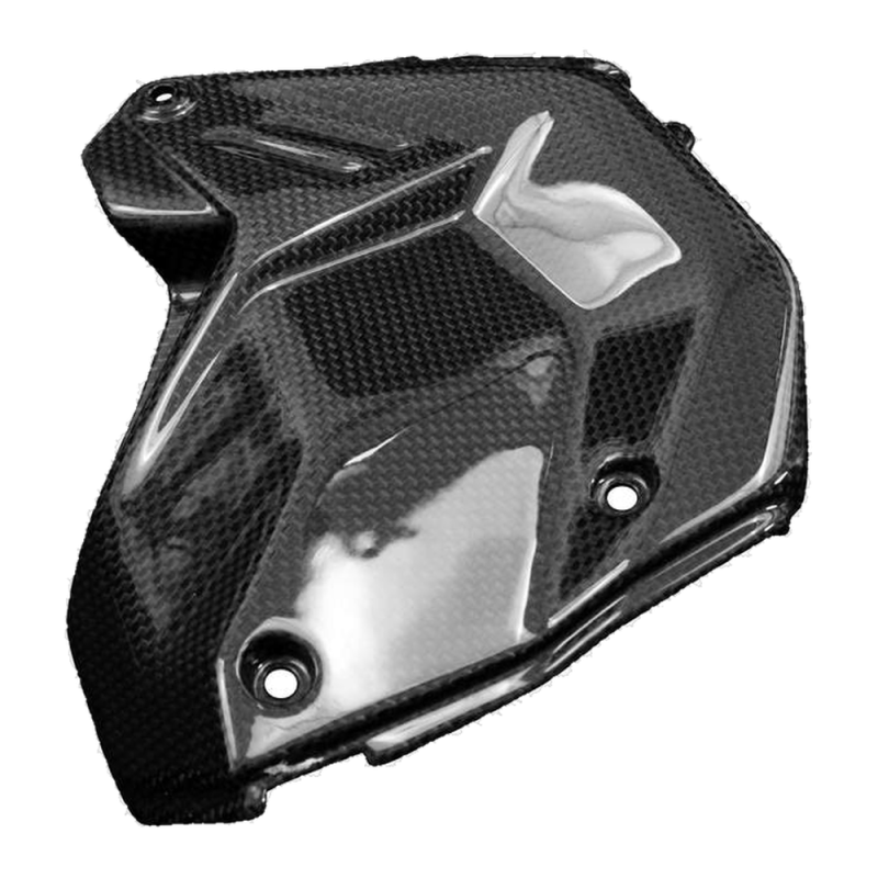 F&F Carbon Motorabdeckung, 100 % Carbon – Ducati Panigale V4/V4S ab 2025