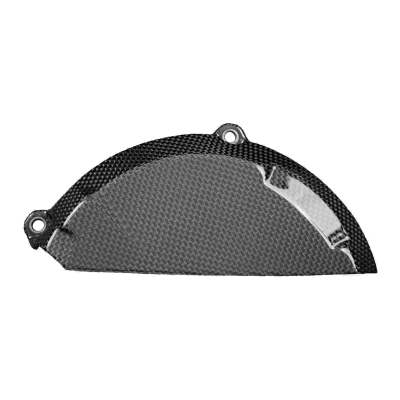 F&F Carbon Motorabdeckung, Carbon/Glasfaser – Ducati Streetfighter V2 ab 2021