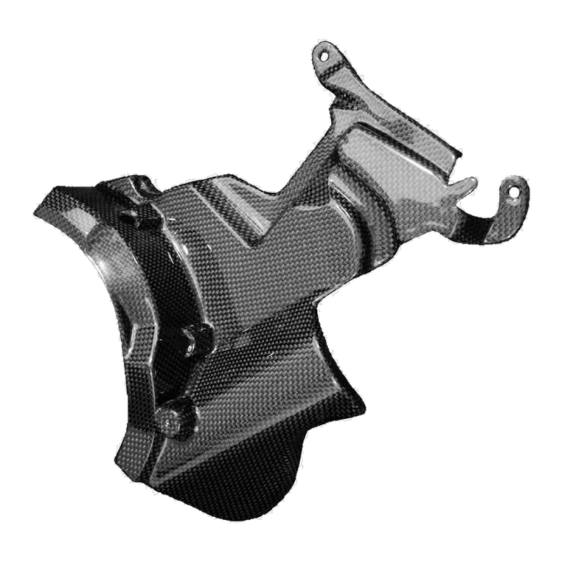 F&F Carbon Motorabdeckung, 100 % Carbon – Ducati Streetfighter V2 ab 2021