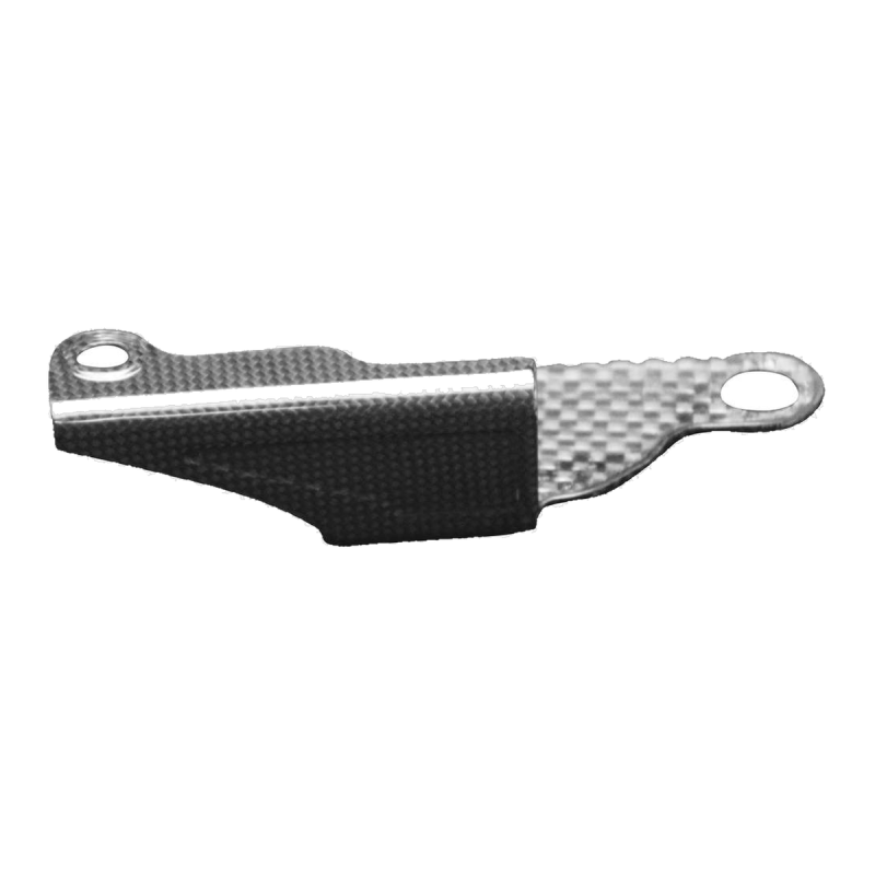 F&F Carbon Motorabdeckung, 100 % Carbon – Ducati Streetfighter V4