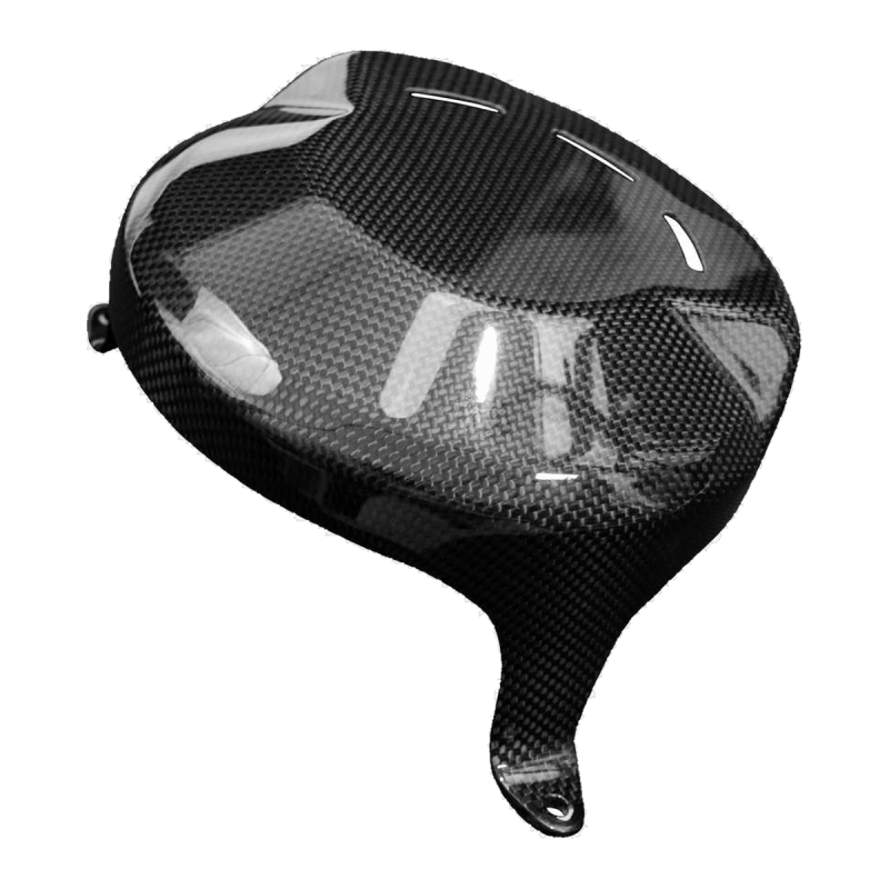 F&F Carbon Motorabdeckung, 100 % Carbon – Ducati Streetfighter V4 ab 2020