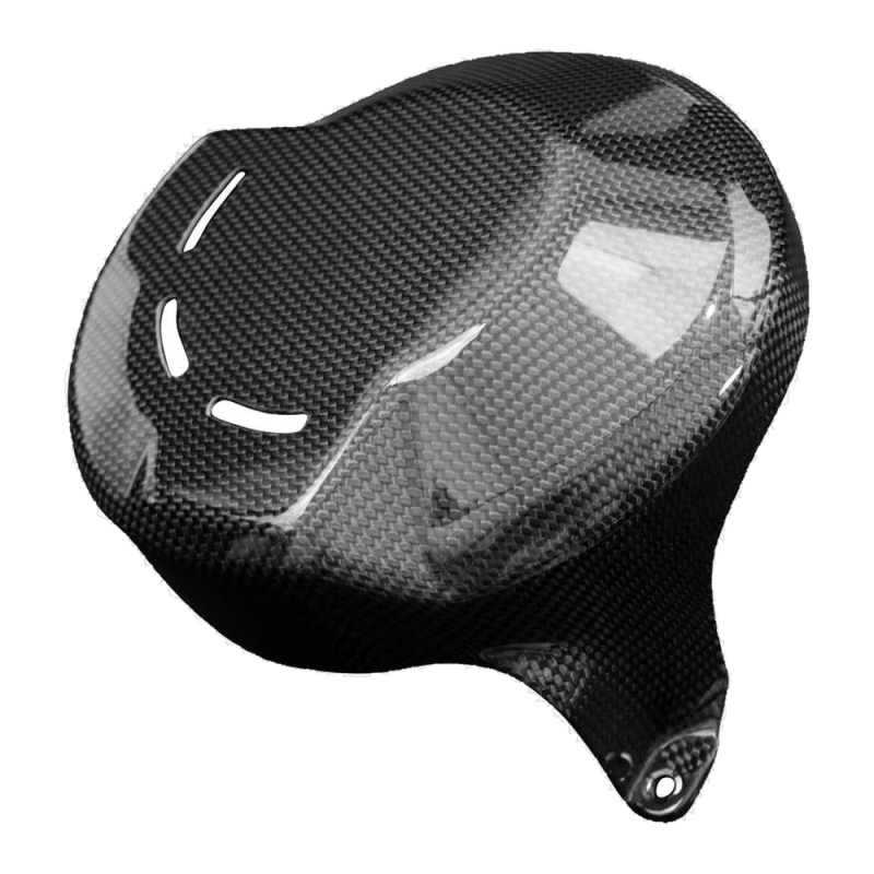 F&F Carbon Motorabdeckung, 100 % Carbon – Ducati Streetfighter V4 ab 2020