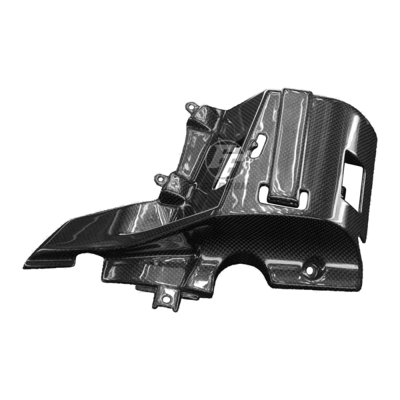 F&F Carbon Motorabdeckung links, Carbon/Glasfaser – Ducati Monster 821, Monster 1200 2017–2018 u. a.
