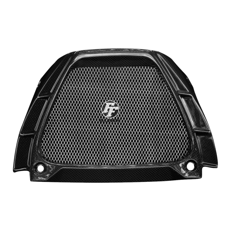 F&F Carbon Ölkühlerabdeckung, 100 % Carbon – Aprilia Tuono V4 2015–2020