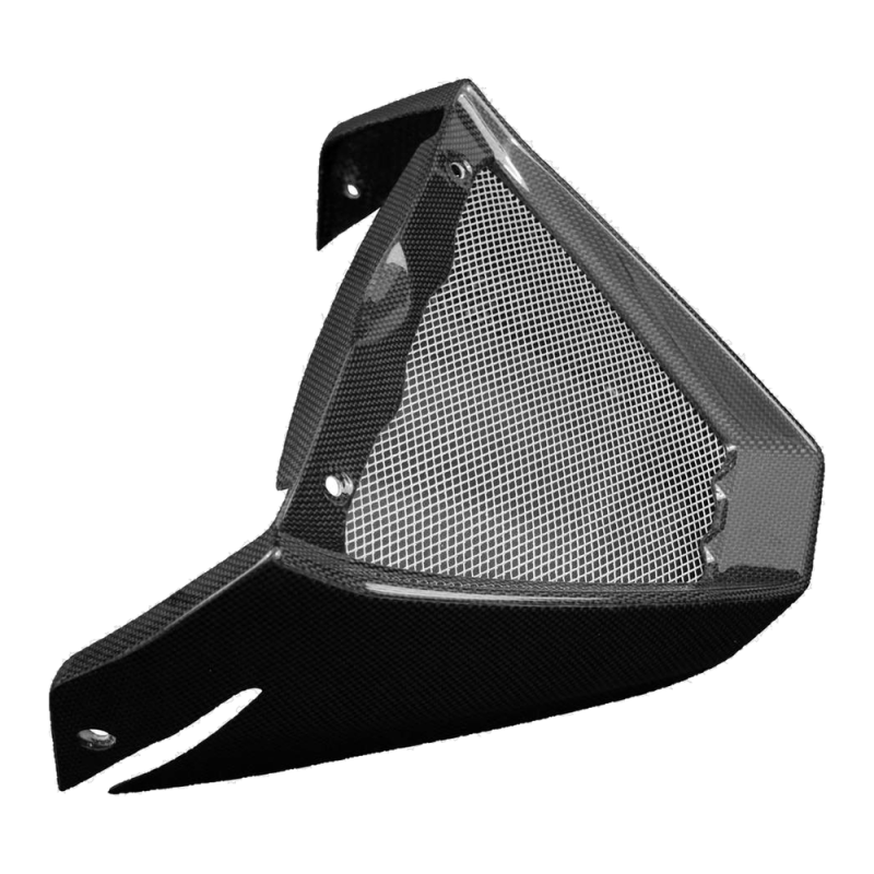F&F Carbon Ölkühlerabdeckung, 100 % Carbon – Aprilia Tuono V4 ab 2021