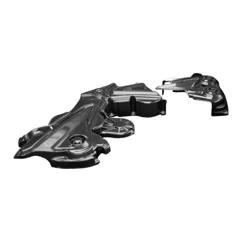 F&F Carbon Belt cover, carbon/glass fibre – Ducati Diavel 1260/1260S 2019–2020