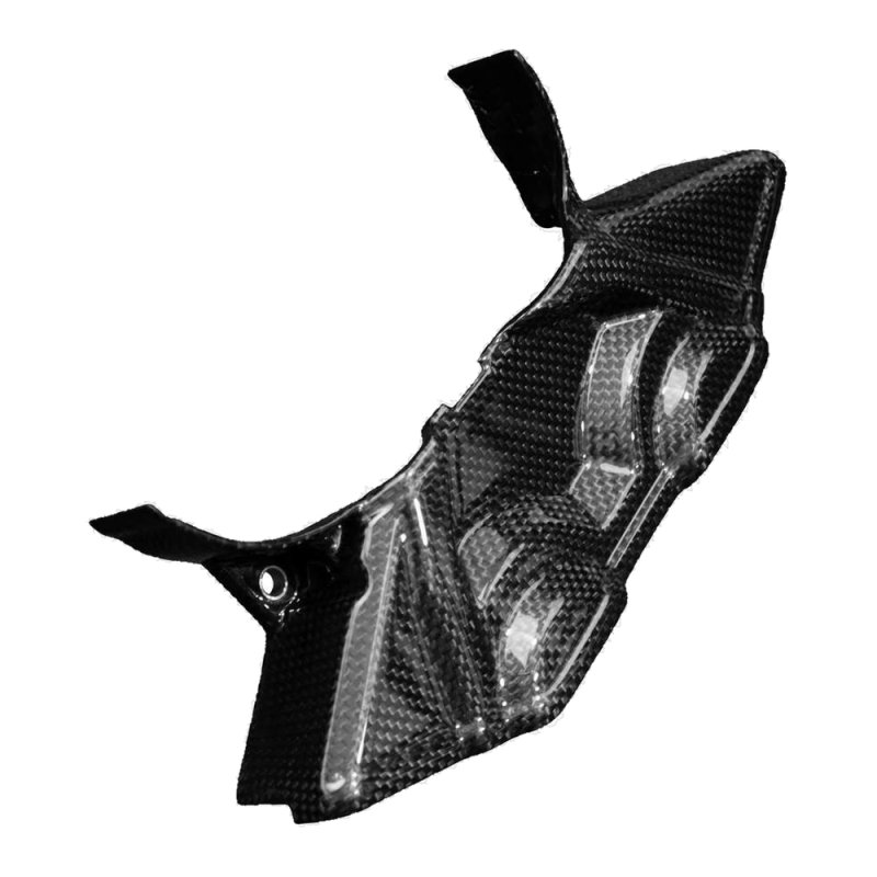F&F Carbon Riemenabdeckung, 100 % Carbon – Ducati Multistrada 1260 ab 2018