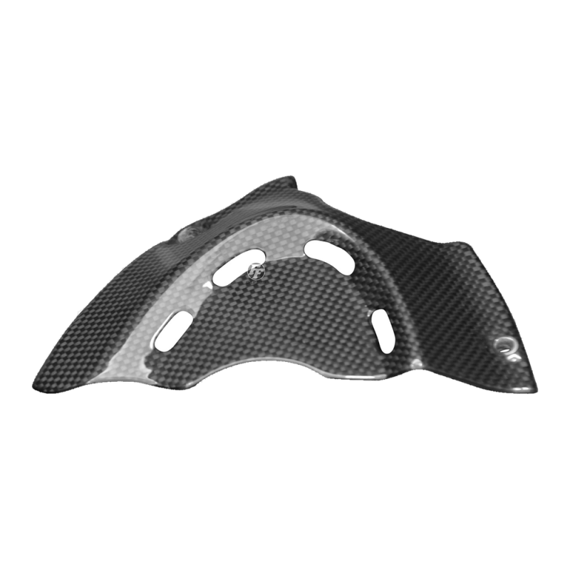 F&F Carbon Ritzelabdeckung, 100 % Carbon – Ducati Diavel 2010–2018