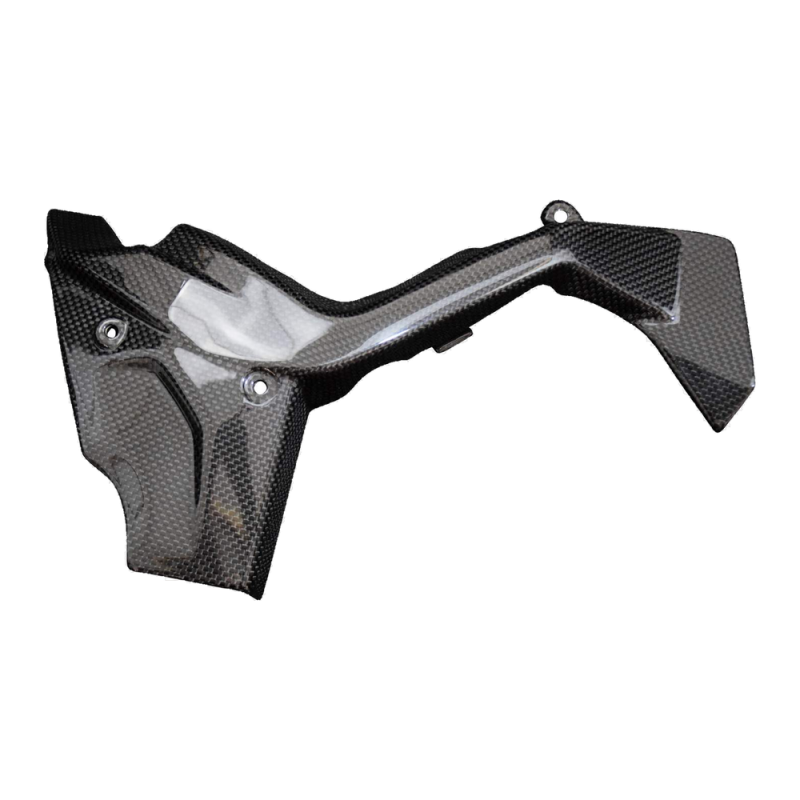 Copripignone F&F Carbon, 100 % carbonio – Ducati Diavel V4