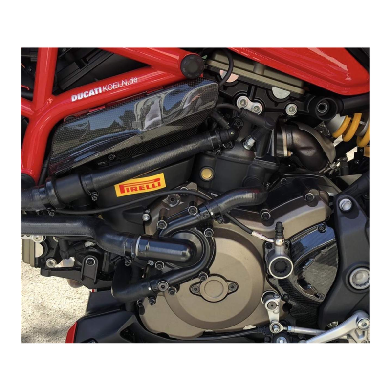 F&F Carbon Ritzelabdeckung, 100 % Carbon – Ducati Monster 1200, Monster 1200S 2014–2016