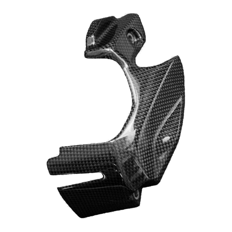 Copripignone F&F Carbon, carbonio/fibra di vetro – Ducati Panigale V2 dal 2020