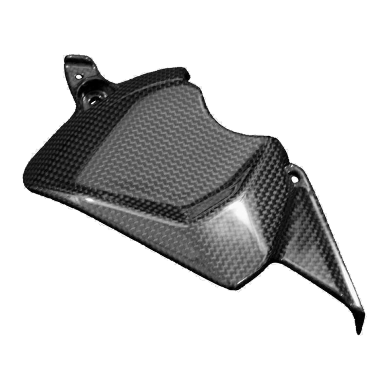 F&F Carbon Ritzelabdeckung, 100 % Carbon – Ducati Panigale V2/V2S ab 2025