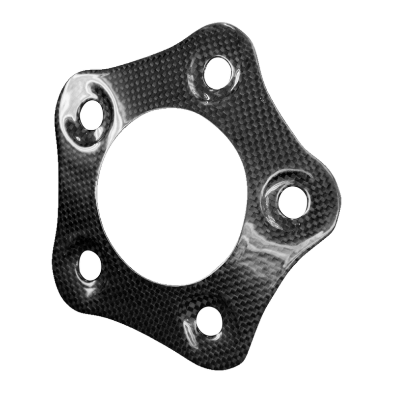 F&F Carbon Ritzelabdeckung, 100 % Carbon – MV Agusta F4 750, F4 1000 u. a.