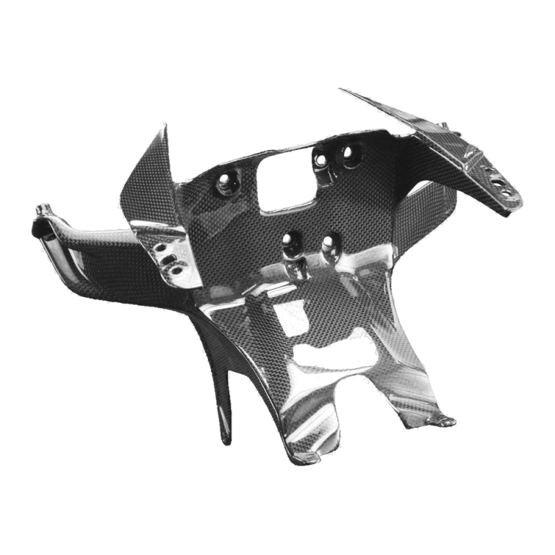F&F Carbon Scheinwerfer-Halter, 100 % Carbon – Ducati Panigale V4, Panigale V4S