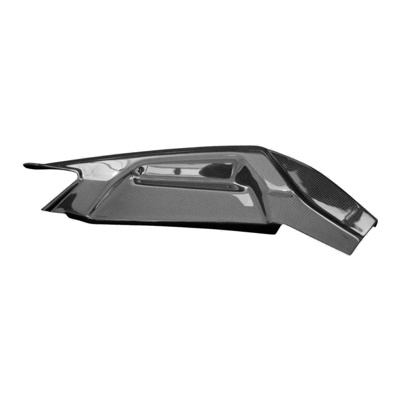 F&F Carbon Schwingenverkleidung, 100 % Carbon – Aprilia RS 660 ab 2020, Tuono 660 ab 2021