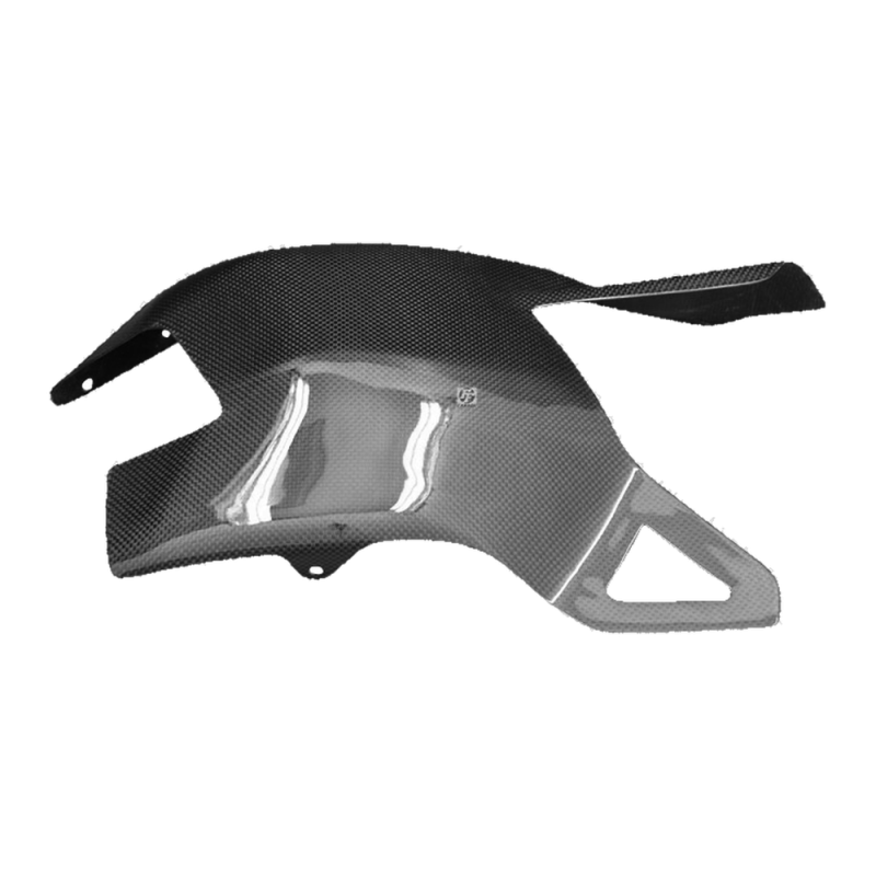 F&F Carbon Schwingenverkleidung, 100 % Carbon – Ducati 1098, 1198 u. a.
