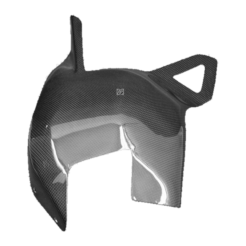 F&F Carbon Schwingenverkleidung, 100 % Carbon – Ducati 1098, 1198 u. a.