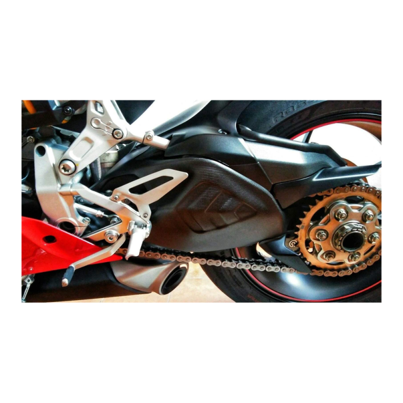 F&F Carbon Schwingenverkleidung, Carbon/Glasfaser – Ducati Panigale 1199, Panigale 1299