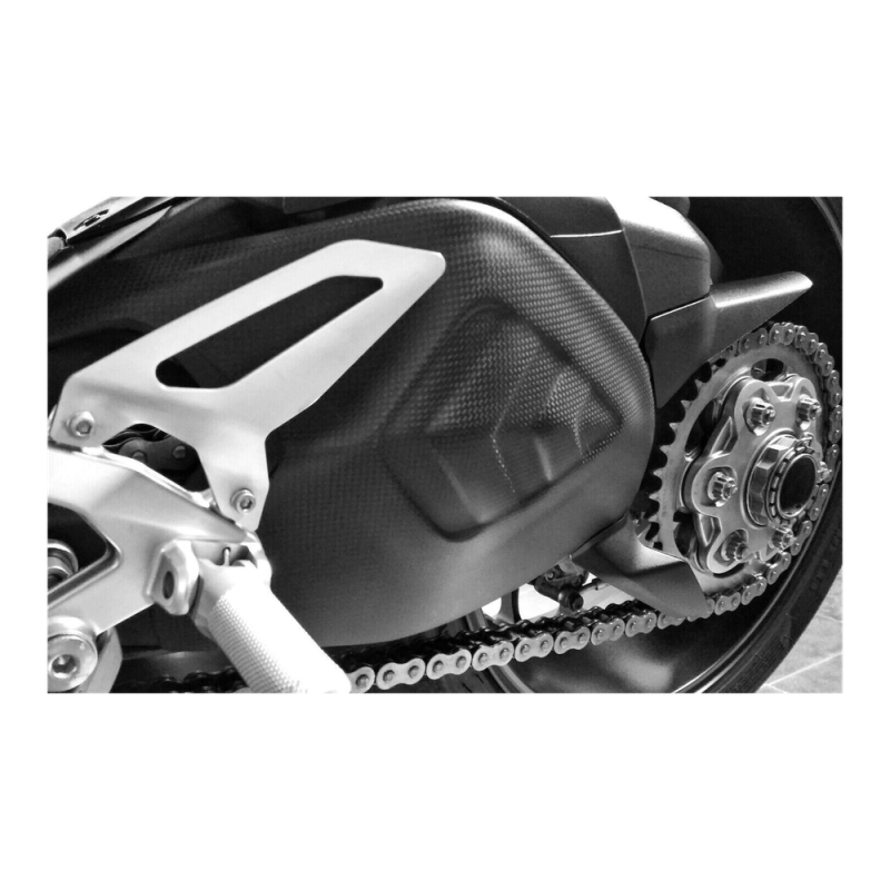 F&F Carbon Schwingenverkleidung, Carbon/Glasfaser – Ducati Panigale 1199, Panigale 1299