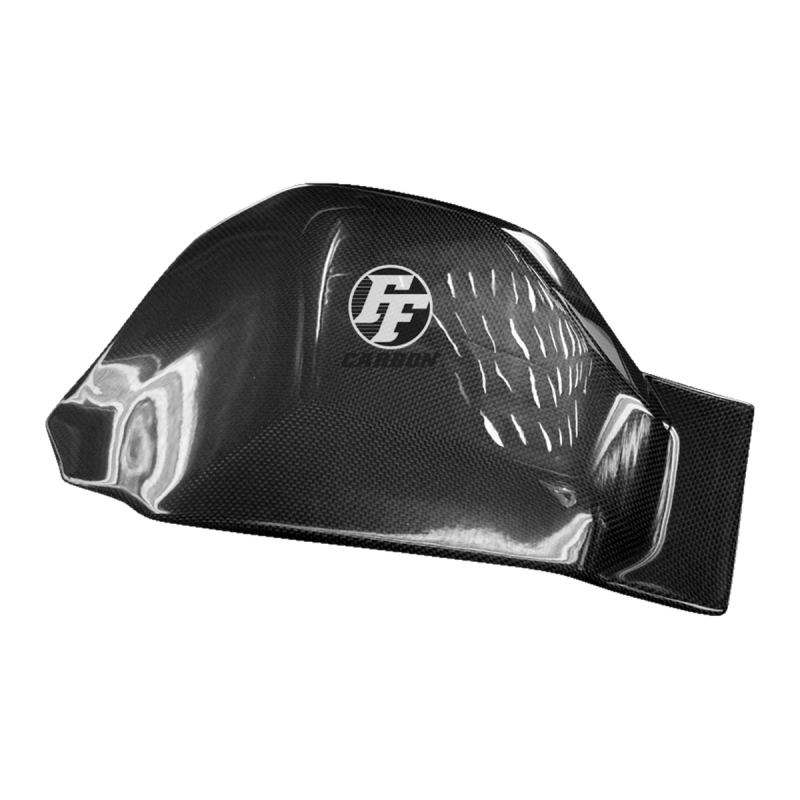 F&F Carbon Schwingenverkleidung, Carbon/Glasfaser – Ducati Panigale V4, Panigale V4S u. a.