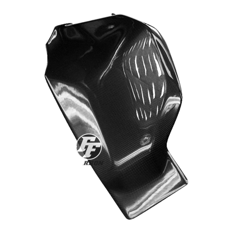 F&F Carbon Schwingenverkleidung, Carbon/Glasfaser – Ducati Panigale V4, Panigale V4S u. a.